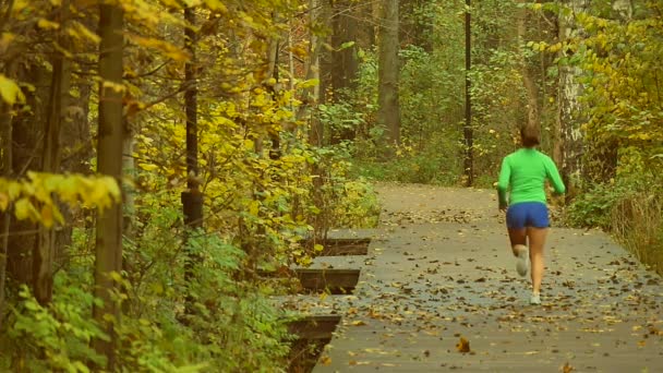 Jogging mulher no parque, câmara lenta — Vídeo de Stock