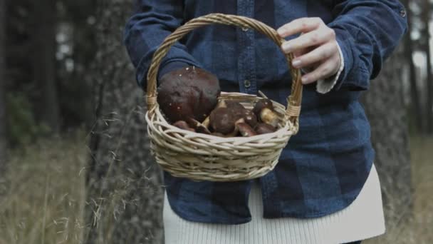 Comida sazonal, banheiros em cesta — Vídeo de Stock