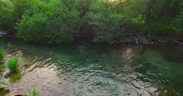 清洁的环境和水 — 图库视频影像