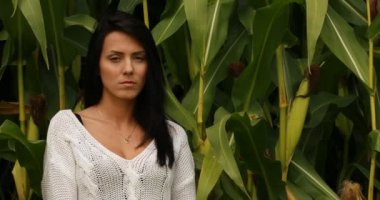 Ekoloji çiftlik - Mısır alan