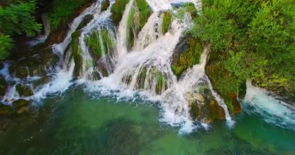 绿色池塘和瀑布 — 图库视频影像