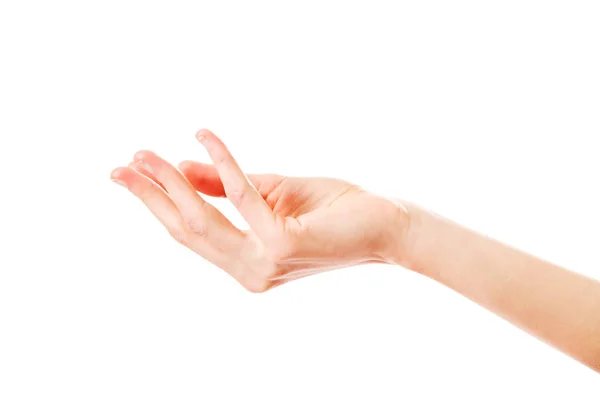 Female hands in side view Stock Image