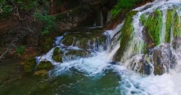 Cascade dans le jardin — Video