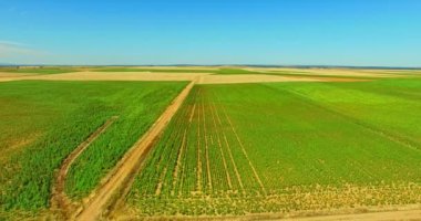 yeşil alanların üstünde uçuş