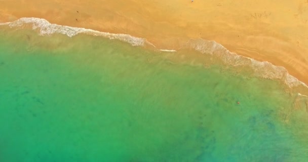 Vista aérea da praia com turistas — Vídeo de Stock