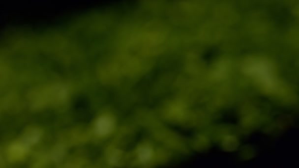 Kıyılmış maydanoz Görünümü Kapat — Stok video