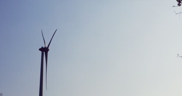 风车，清洁能源 — 图库视频影像