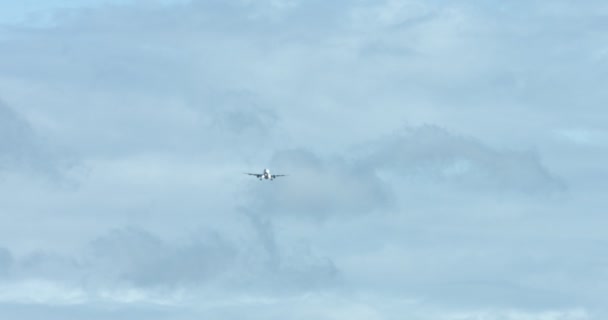 Самолет на облачном небе — стоковое видео