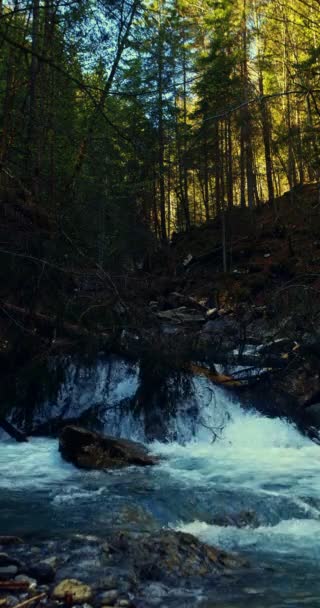 Arroyo salvaje de montaña — Vídeos de Stock