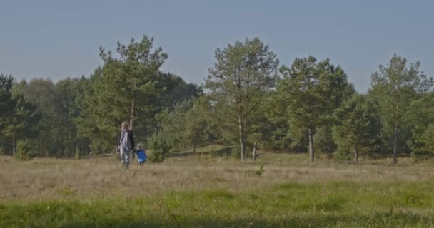 Mutter und Kind zu Fuß unterwegs — Stockvideo