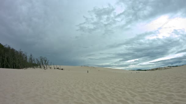 Düne im Slowinski-Nationalpark — Stockvideo