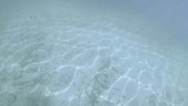 Под водой скачут солнечные лучи — стоковое видео