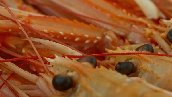 Shrimp - expensive seafood — Stock Photo, Image
