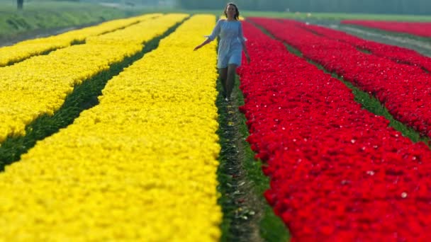 Woman walking on tulips field — Stock Video