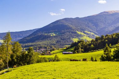 dağ çayır Alps, South Tyrol, İtalya için ile