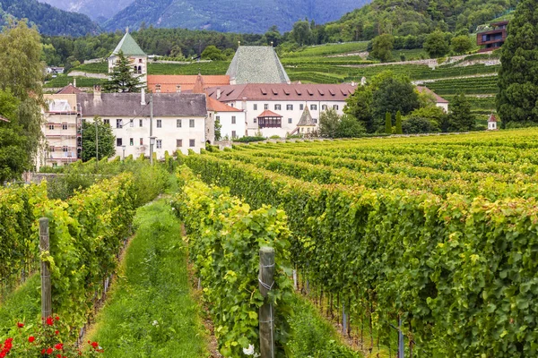 Monastère Neustift Avec Vignobles Brixen Italie — Photo