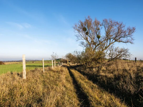 Paisagem em Uckermark, Brandenburg, Alemania — Fotografia de Stock