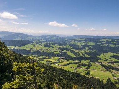 Bregenz Ormanı, Avusturya