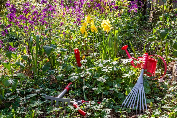 Gardening Rake Watering Can Garden Spring — Stock Photo, Image