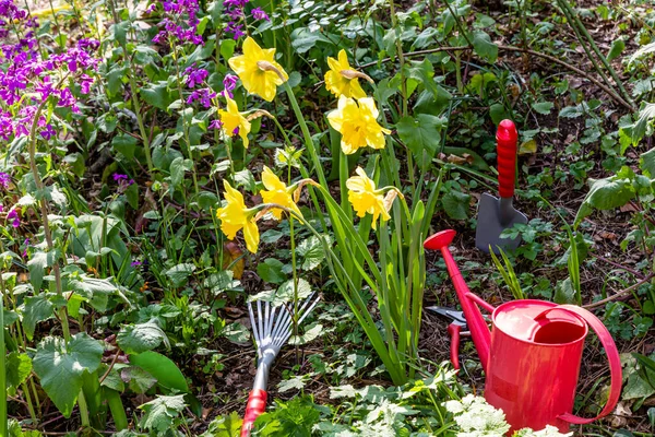 Giardinaggio Con Rastrello Annaffiatoio Giardino Primavera — Foto Stock