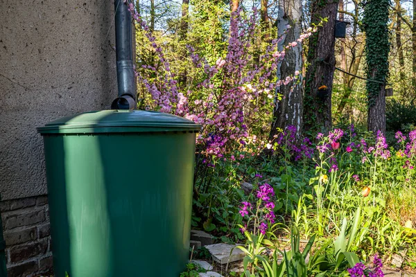 春天里有花的雨桶 — 图库照片
