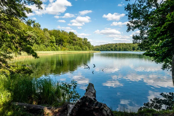 Sjön Liepnitzsee Brandenburg Sommaren Tyskland — Stockfoto