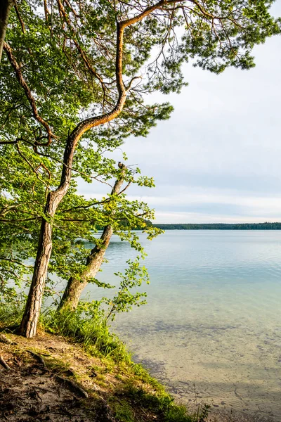 Озеро Стехлин Германия — стоковое фото