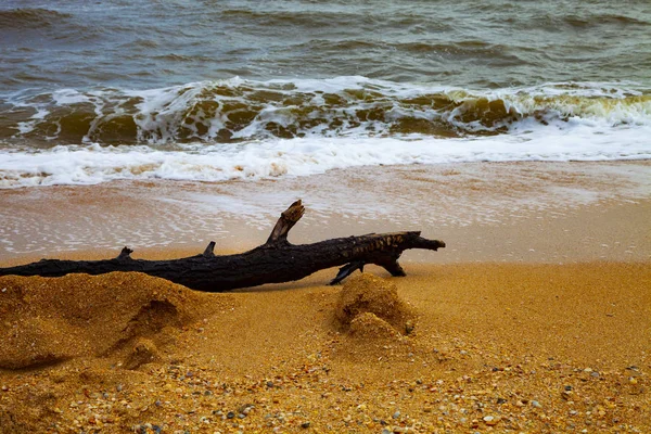 Piękna Plaża Morze Surf Seascape Lato Zaloguj Się Piaszczystej Plaży — Zdjęcie stockowe