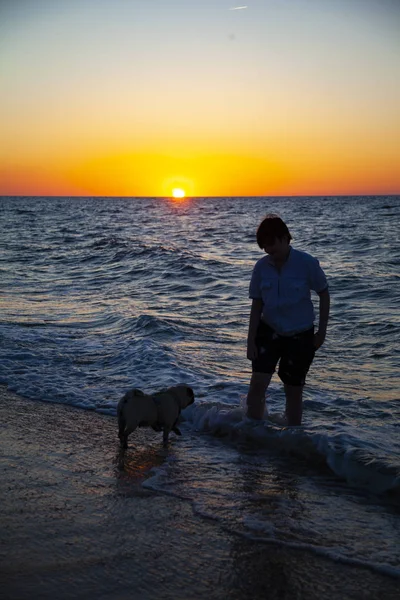 Teenager Pug Walk Sea Sunset — Stock Photo, Image