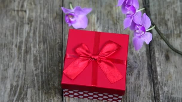 Egy Ajándék Egy Piros Négyzet Orchideák — Stock videók
