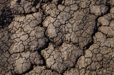 Kuru toprak kırık. Doğal doku.