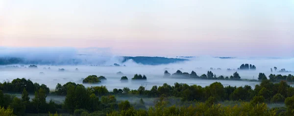 Όμορφο Τοπίο Δέντρα Στην Ομίχλη Νωρίς Πρωί Ομίχλη Πρωί Αεροφωτογραφίες — Φωτογραφία Αρχείου
