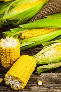 Olgun Mısır eski ahşap masa.