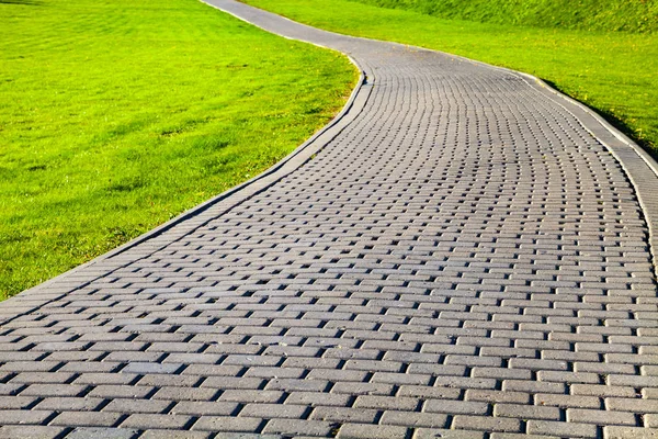 Stone Path Park Green Lawn Beautiful Summer City Park Walking — Stock Photo, Image