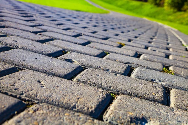 Parktaki Taş Patika Yeşil Çimenlik Yürümek Için Güzel Bir Yaz — Stok fotoğraf