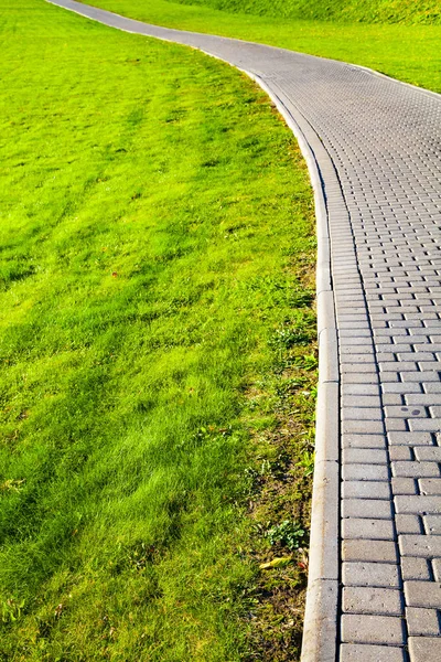 Parktaki Taş Patika Yeşil Çimenlik Yürümek Için Güzel Bir Yaz — Stok fotoğraf