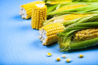 Mavi Masa yakın çekim Olgun Mısır