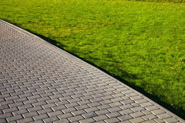 Parktaki taş patika ve yeşil çimenlik. Yürümek için güzel bir yaz parkı..