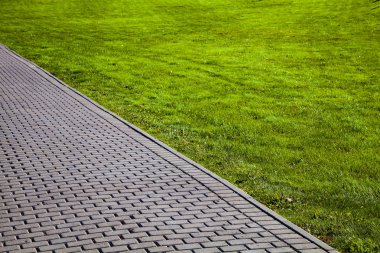 Parktaki taş patika ve yeşil çimenlik. Yürümek için güzel bir yaz parkı..