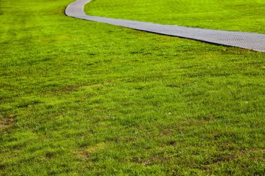 Parktaki taş patika ve yeşil çimenlik. Yürümek için güzel bir yaz parkı..