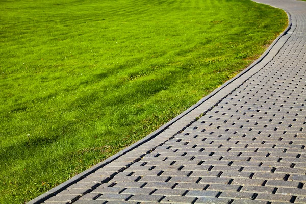 Chemin Pierre Dans Parc Pelouse Verte Beau Parc Urbain Été — Photo