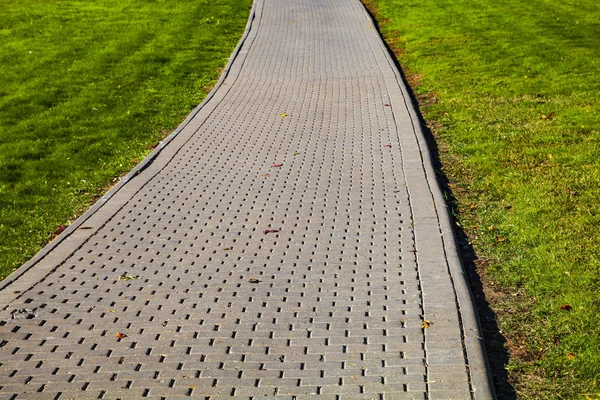 Каменная Дорожка Парке Зеленая Лужайка Летний Городской Парк Прогулок — стоковое фото