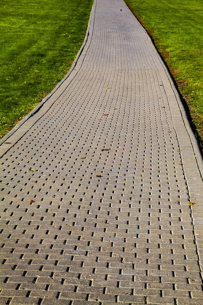 Stone Path Park Green Lawn Beautiful Summer City Park Walking — Stock Photo, Image