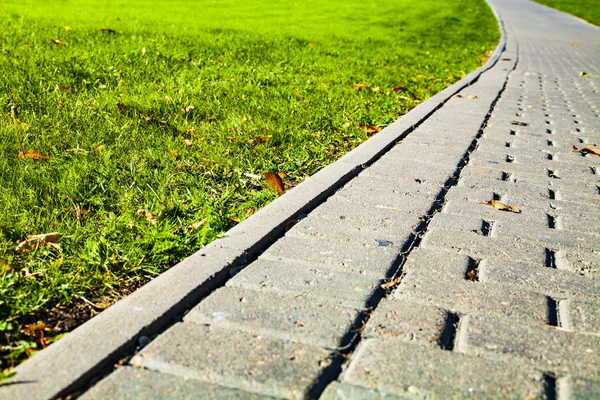 Parktaki Taş Patika Yeşil Çimenlik Yürümek Için Güzel Bir Yaz — Stok fotoğraf