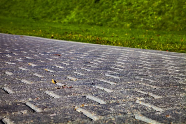 Stone Path Park Green Lawn Beautiful Summer City Park Walking — Stock Photo, Image