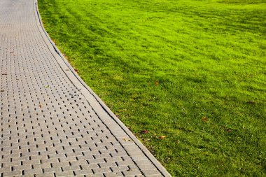 Parktaki taş patika ve yeşil çimenlik. Yürümek için güzel bir yaz parkı..