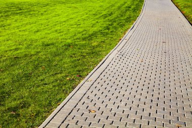 Parktaki taş patika ve yeşil çimenlik. Yürümek için güzel bir yaz parkı..