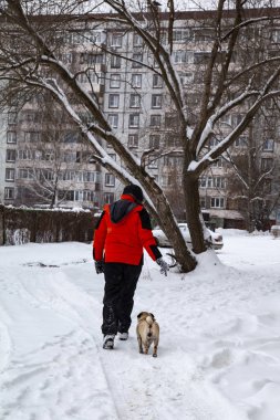 Çocuk bir köpek ile bir kış gününde yürür. Genç ve pug bir şehir sokak üzerinde.