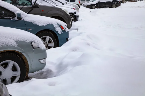 Машины Припаркованы Зимний День Автомобили Покрытые Снегом — стоковое фото
