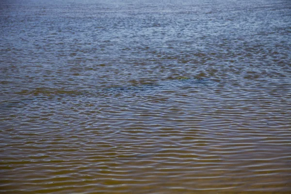 川の面をクローズ アップ 水の背景 — ストック写真